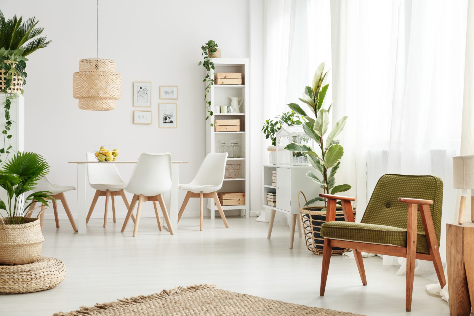 rośliny w jasnym salonie, biała podłoga, białe krzesła