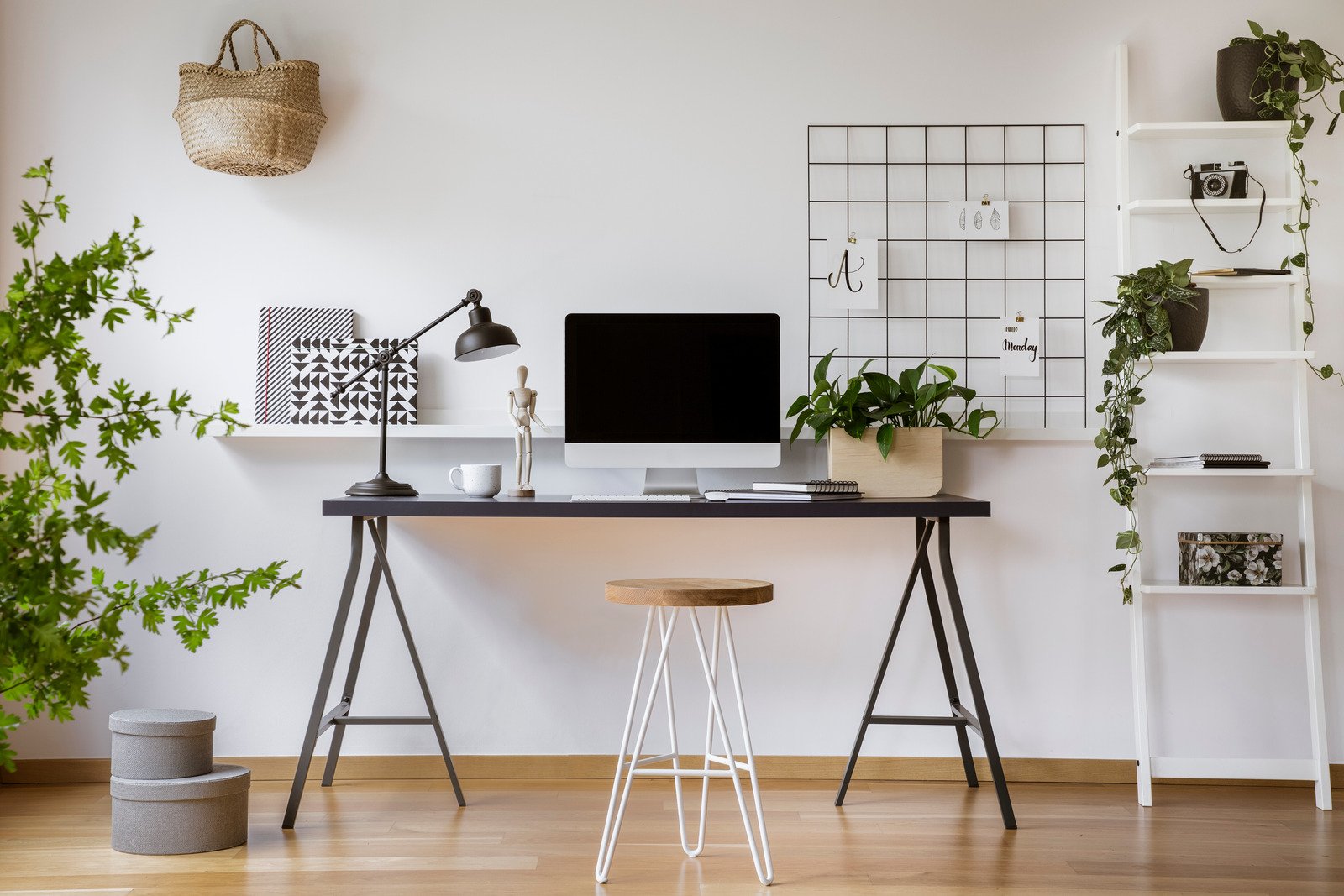 rośliny, minimalistyczne biurko, wzorzyste tekstylia