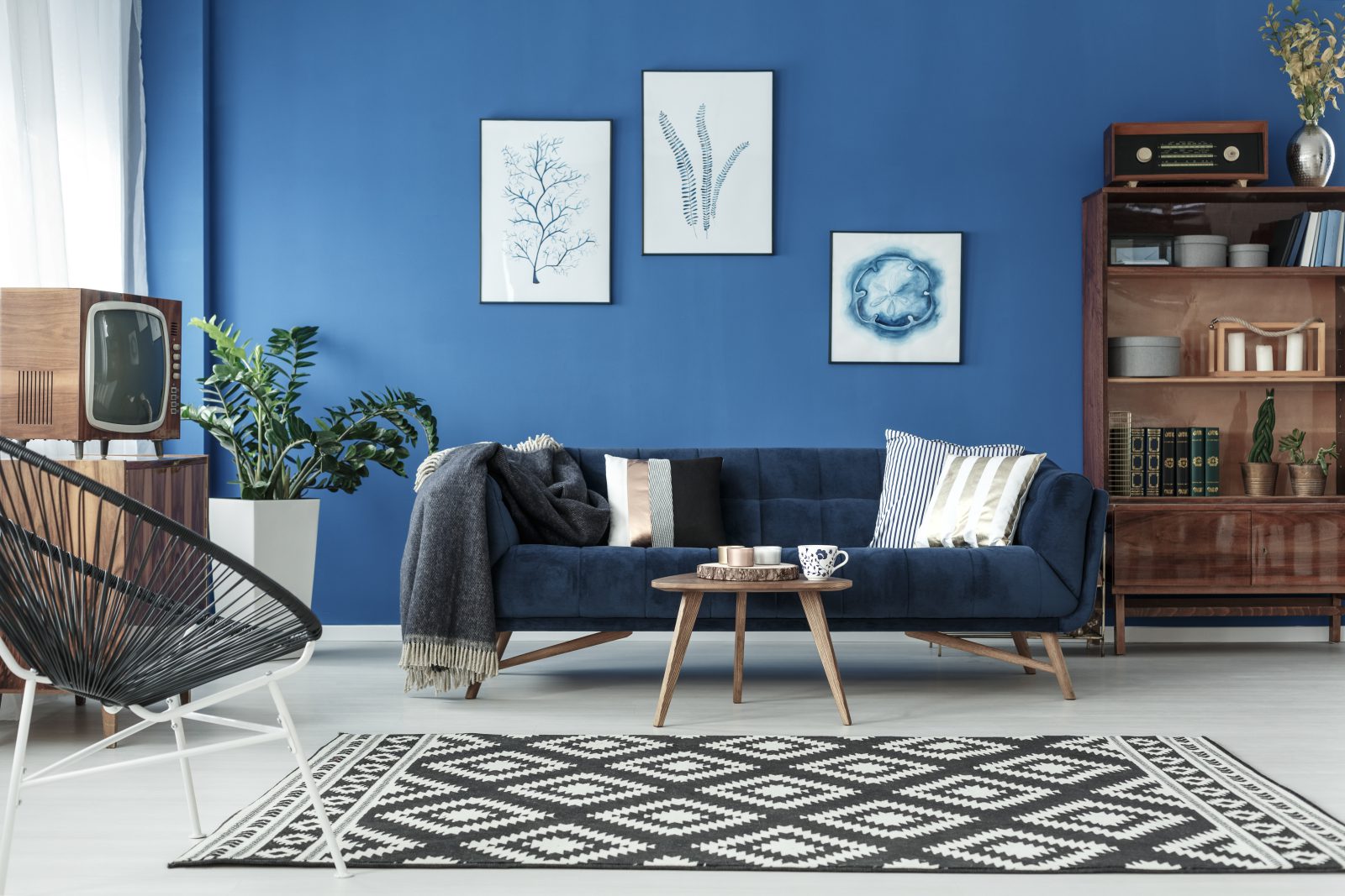 niebieskie ściany, granatowa sofa, meble retro