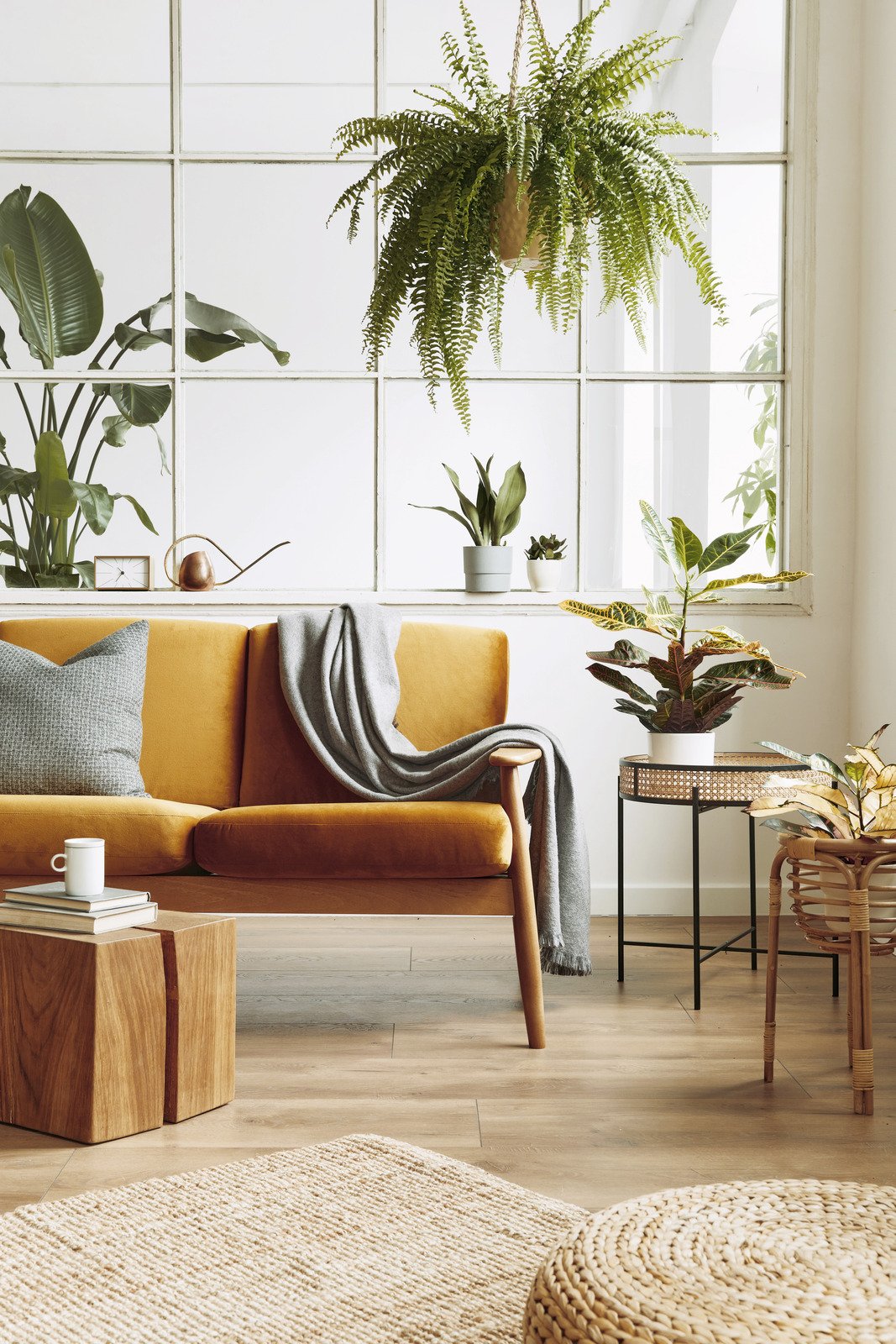 rośliny domowe, wiklinowa pufa, pomarańczowa sofa