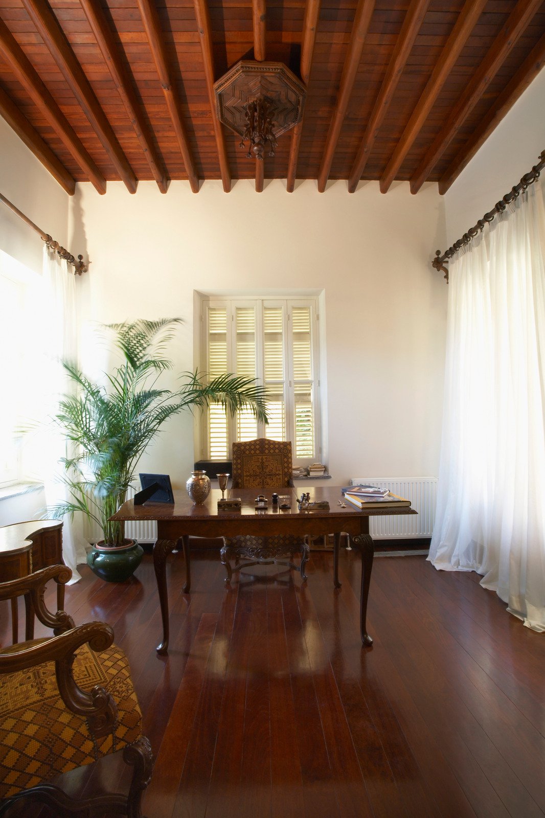 kolonialne biurko, palma we wnętrzach